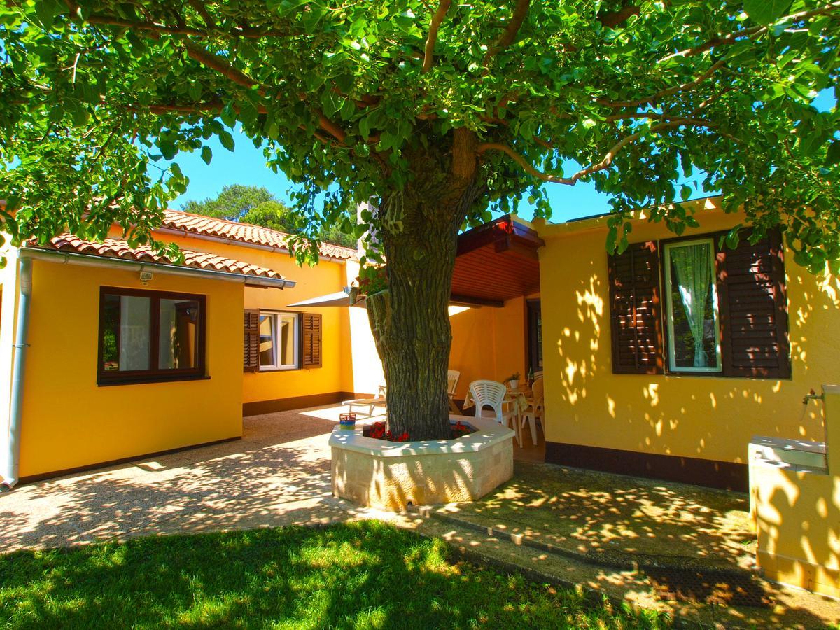 House 1037 Fažana